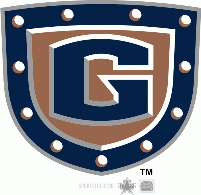greenville road warriors 2010-pres alternate logo iron on transfers for T-shirts